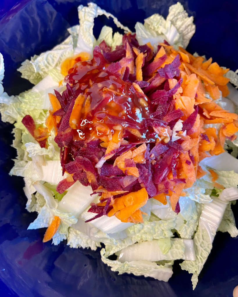 Asian slaw for Vegan Bulgogi Bowl, made with plant-based “beef” tossed in sweet & spicy Bulgogi sauce, served with rice, kimchi, carrots, and cabbage. 