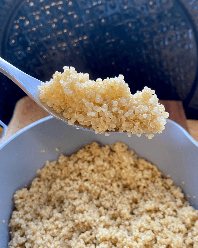 quinoa for Toasted macadamia nut and kale salad, served with seasoned quinoa, topped with sauerkraut and smoky tempeh. 