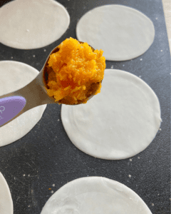 butternut squash filling for vegan dumplings