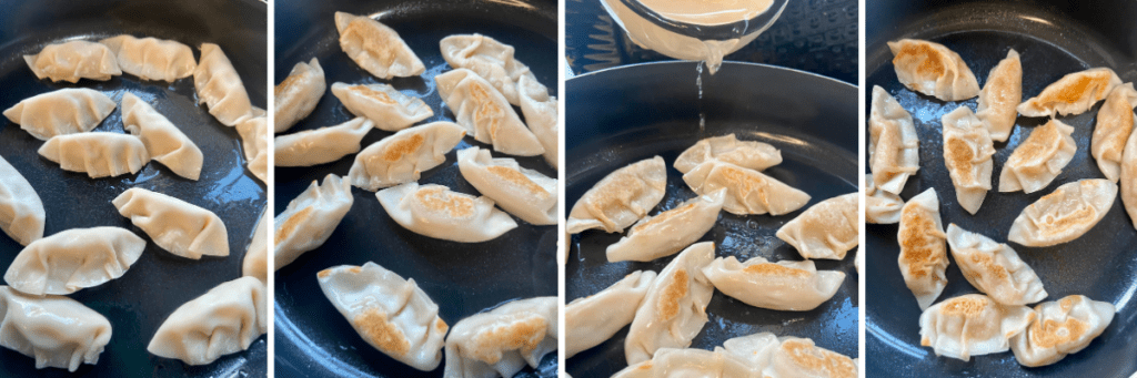 how to pan fry dumplings