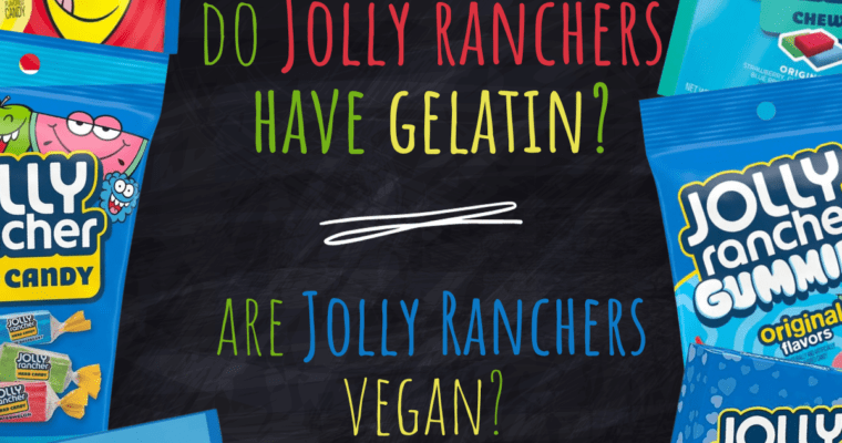 Do Jolly Ranchers have Gelatin : are they vegan (2023)