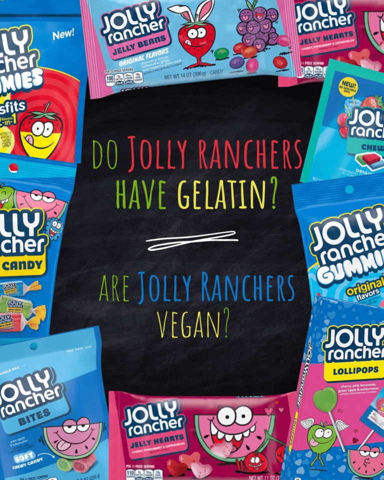 Do Jolly Ranchers have Gelatin are they vegan (2023) Olive You So