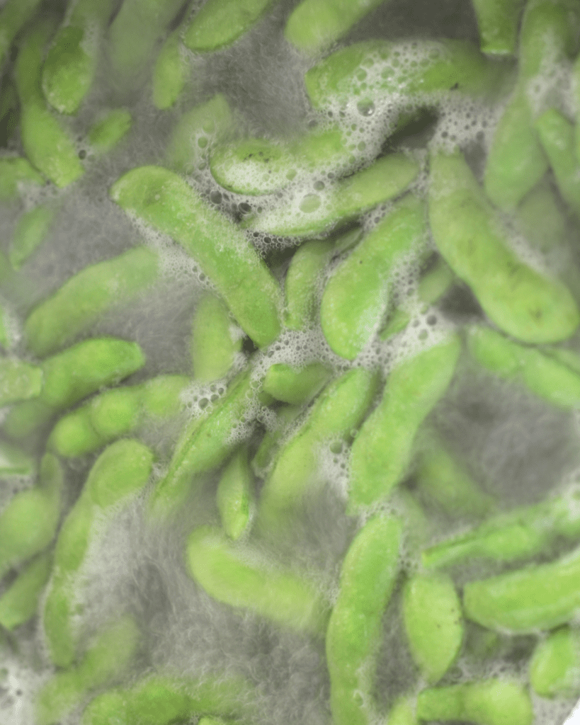 boiling edamame  for can you freeze edamame post