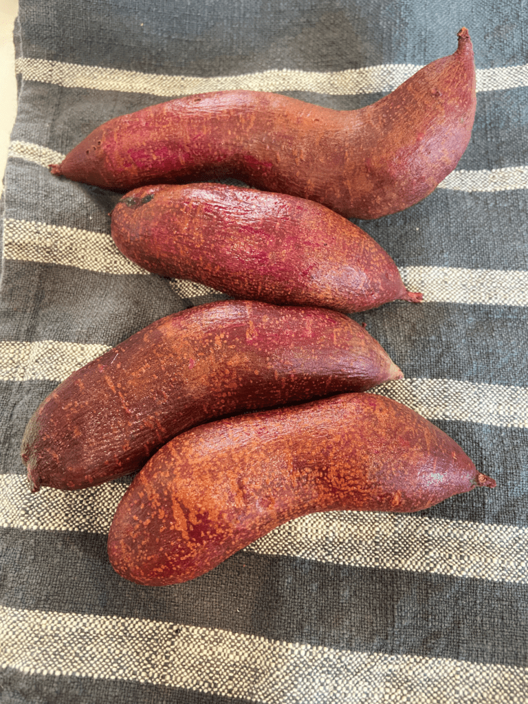 purple sweet potatoes