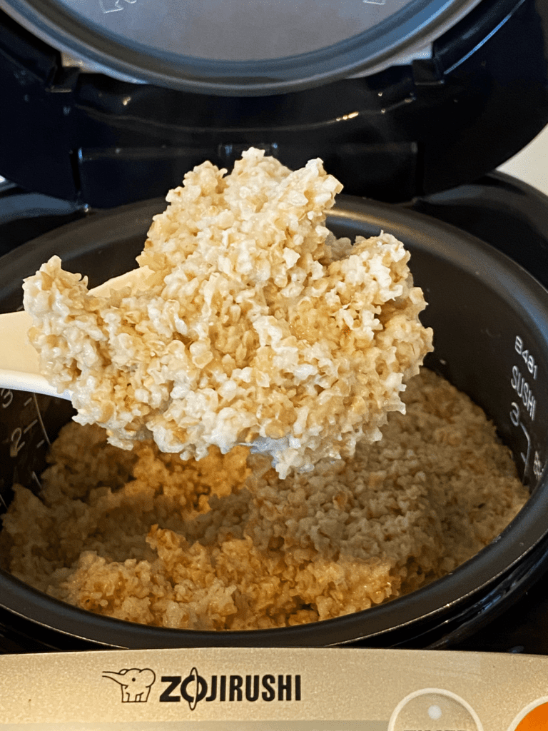 steel cut oats in the rice cooker