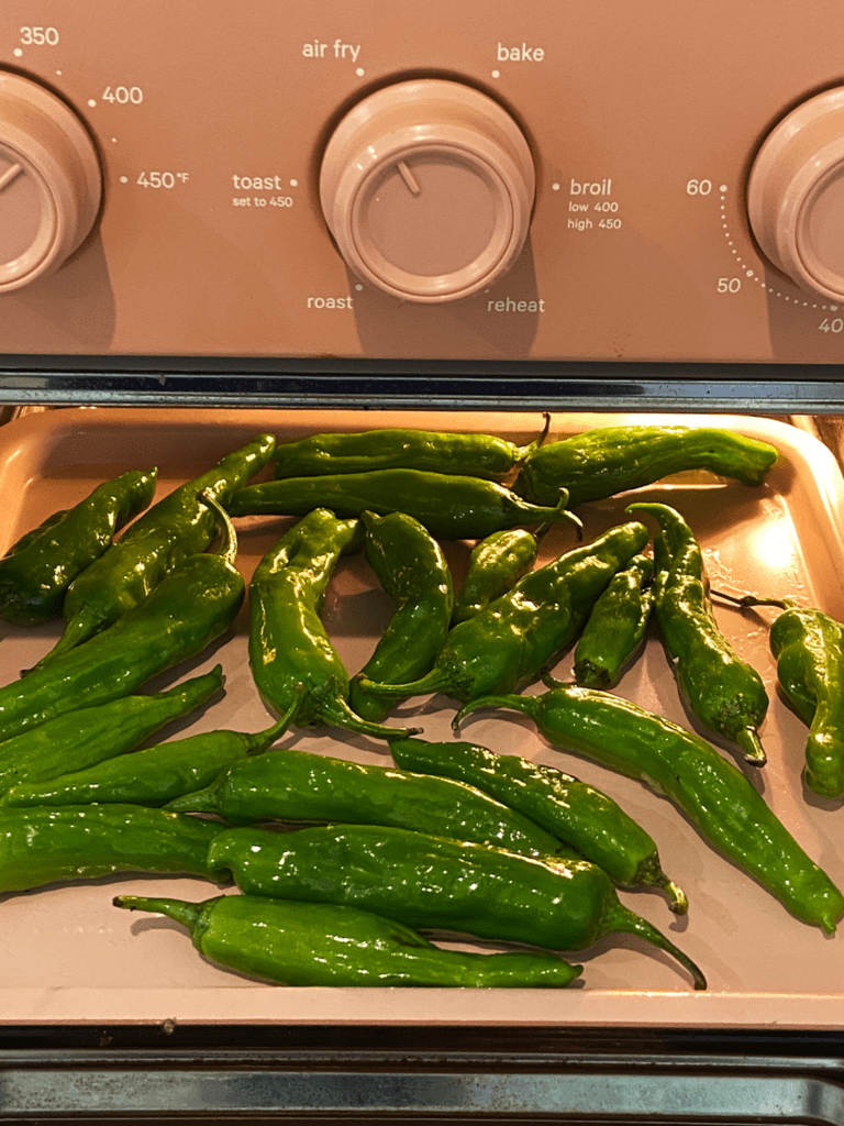 air fryer shishito peppers