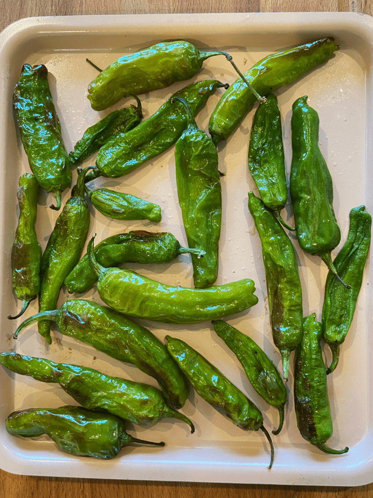 roasted shishito peppers ready to serve