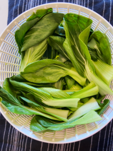 bok choy leaves in salad spinner