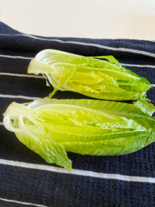 drying romaine lettuce on towel