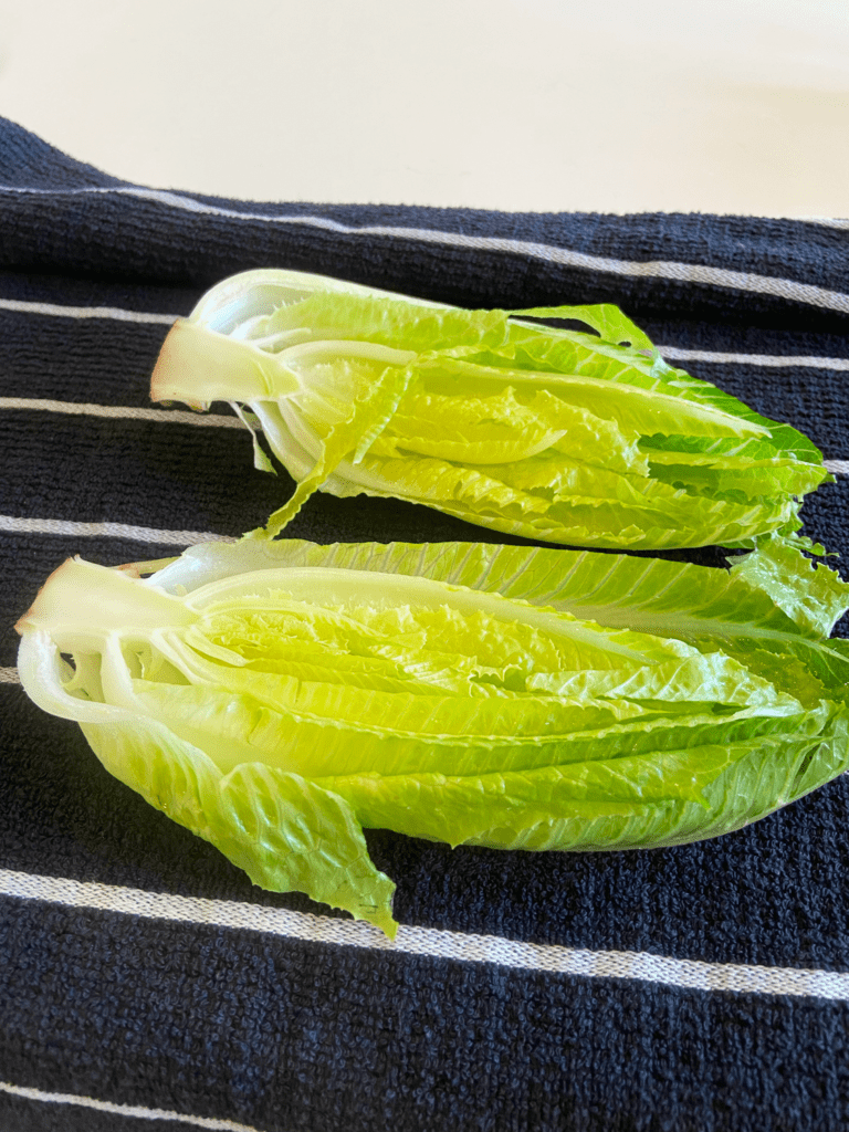 drying romaine lettuce on towel 