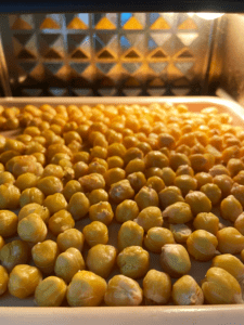 chickpeas roasting in air fryer